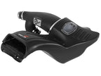 aFe Power Momentum GT Pro Dry S Cold Air Intake System for Ford F-150/Raptor 2017-2020 V6-3.5L EcoBoost