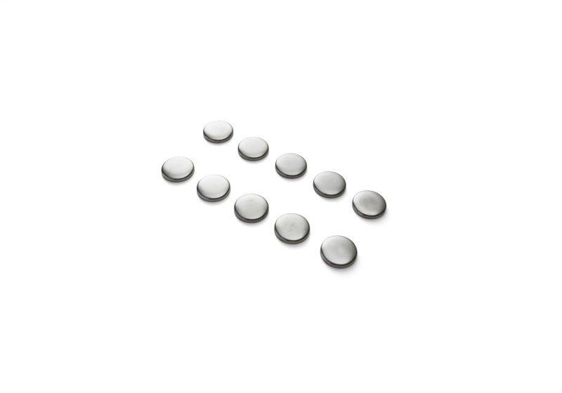 Ford Racing M-6026-S351 Camshaft Plug for Ford Engines - Set of 10