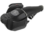 aFe Power Momentum GT Pro Dry S Cold Air Intake System for Ford F-150/Raptor 2017-2020 V6-3.5L EcoBoost