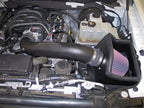 K&N Engineering 57-2580 Cold Air Intake Kit for Ford F-150 4.6L V8 (2009-2010)
