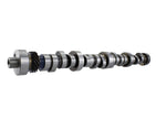 Ford Racing M-6250-F303 Small Block V-8 Hydraulic Roller Camshaft for 1985-1988 Mercury Cougar and Ford Thunderbird
