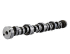 Ford Racing M-6250-F303 Small Block V-8 Hydraulic Roller Camshaft for 1985-1988 Mercury Cougar and Ford Thunderbird