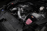 K&N Engineering 69-3541TC Cold Air Intake System for 2024-2026 Ford Mustang V8 5.0L