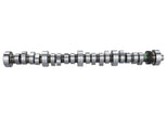Ford Racing Small Block V-8 Hydraulic Roller Tappet Camshaft - Part Number M-6250-B303