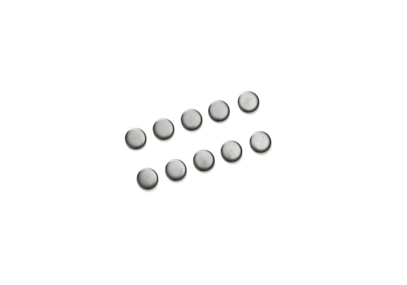 Ford Racing M-6026-S351 Camshaft Plug for Ford Engines - Set of 10