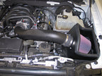 K&N Engineering 57-2580 Cold Air Intake Kit for Ford F-150 4.6L V8 (2009-2010)