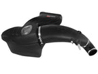 aFe Momentum GT Pro Dry S Stage-2 Cold Air Intake System for Ford F-150 2015-2017 V8 5.0L