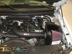K&N Engineering 57-2556 Performance Cold Air Intake Kit for Ford F-150 and Expedition