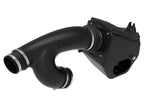 aFe Quantum Pro DRY S Cold Air Intake System for Ford F-150 and Raptor 2015-2024 with Part Number 53-10008D