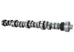 Ford Racing Small Block V-8 Hydraulic Roller Tappet Camshaft - Part Number M-6250-B303