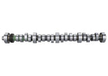 Ford Racing Small Block V-8 Hydraulic Roller Tappet Camshaft - Part Number M-6250-B303