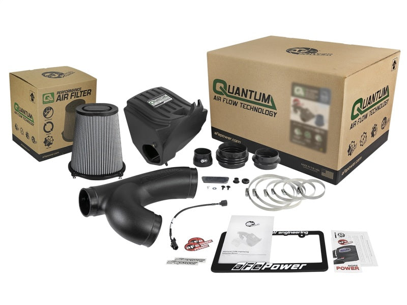aFe Quantum Pro DRY S Cold Air Intake System for Ford F-150 and Raptor 2015-2024 with Part Number 53-10008D
