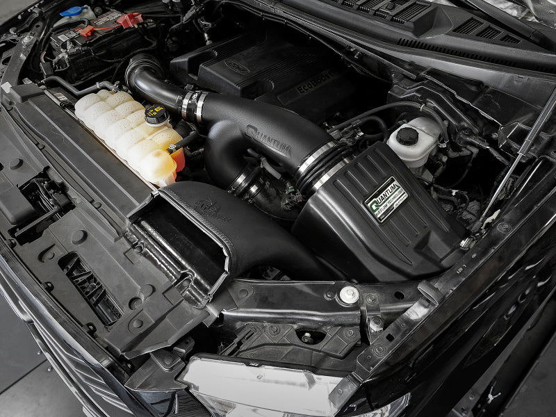 aFe Quantum Pro DRY S Cold Air Intake System for Ford F-150 and Raptor 2015-2024 with Part Number 53-10008D