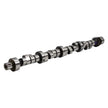 Edelbrock Chrysler 273-360 SB Rollin' Thunder Hydraulic Roller Camshaft Part #2213