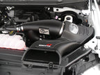 aFe Momentum GT Pro DRY S Cold Air Intake System for Ford F-150 2015-2016 V6-2.7L & 3.5L EcoBoost