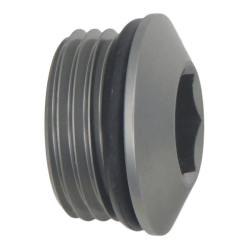 DeatschWerks 10AN ORB Male Plug Low Profile Internal Allen/Hex with O-Ring - Part #6-02-0719