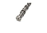 Ford Racing M-6250-X303 Small Block V-8 Hydraulic Roller Tappet Camshaft
